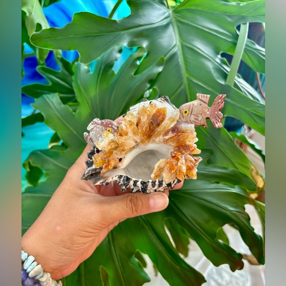 Other - Fish Carvings on Seashell with Citrine